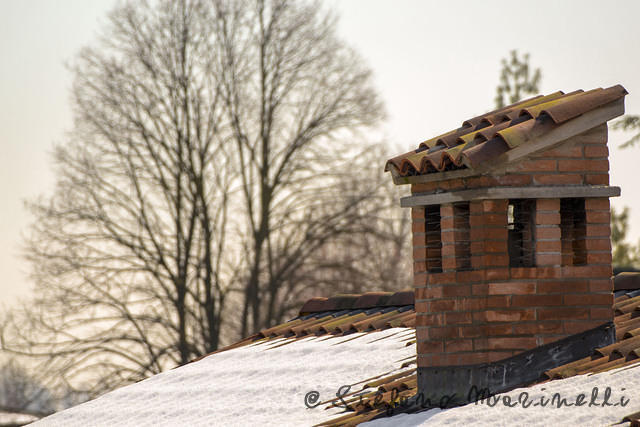 Winter Roof